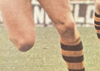 1973 Scanlens VFL #29 David Rhodes Back